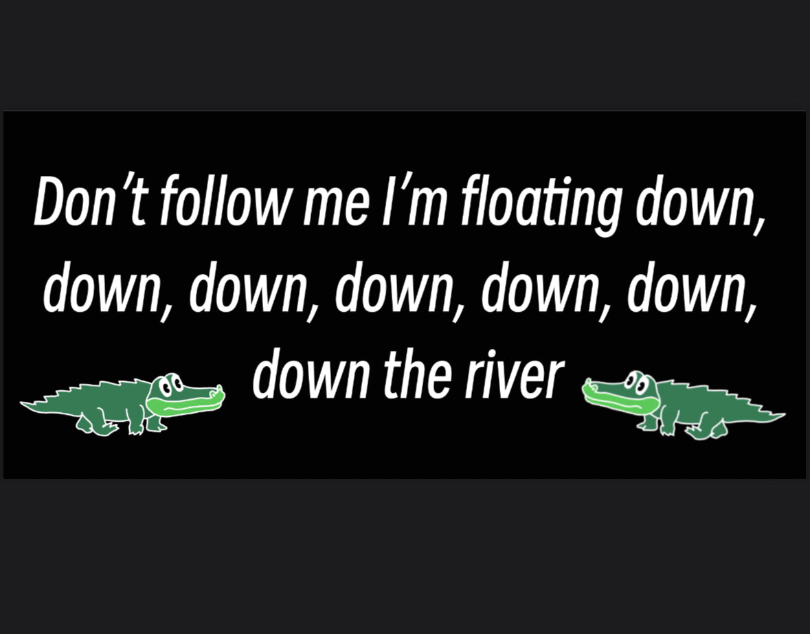 The river bumper sticker