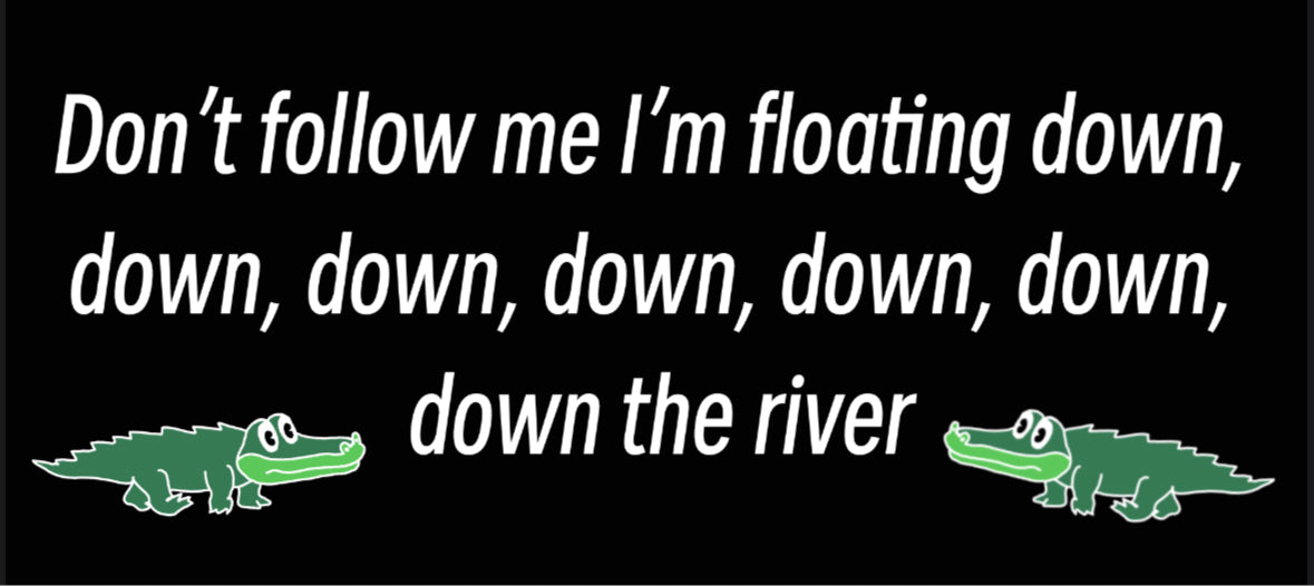 (Preorder Oct.22) The river bumper sticker
