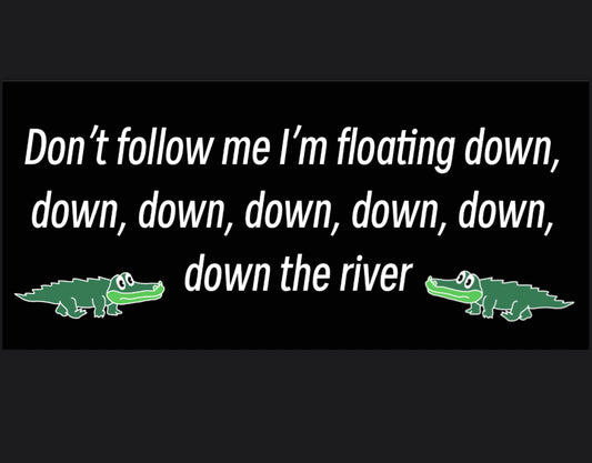 (Preorder Oct.22) The river bumper sticker